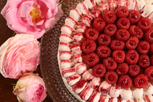 Pavlova Framboise Vanille Grillée